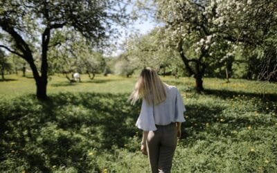 Tree Pruning Dos and Don’ts for a Flourishing Landscape