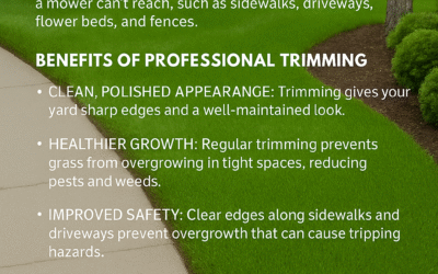 Why Regular Trimming Is Essential for a Healthy, Beautiful Landscape